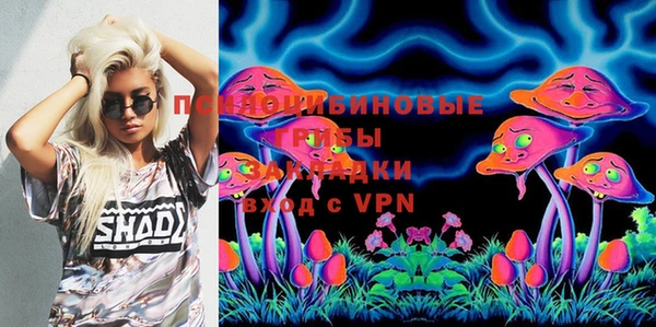 PSILOCYBIN Алексеевка