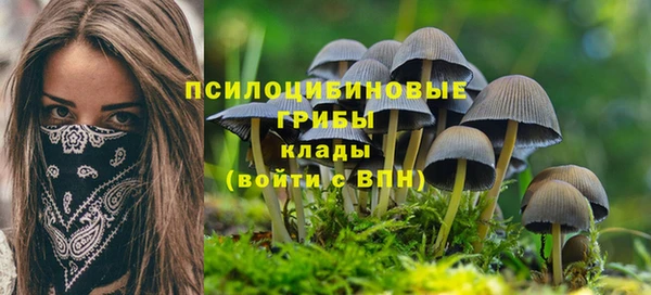 PSILOCYBIN Алексеевка