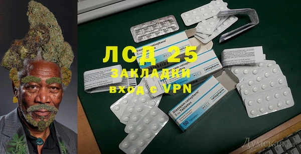 PSILOCYBIN Алексеевка