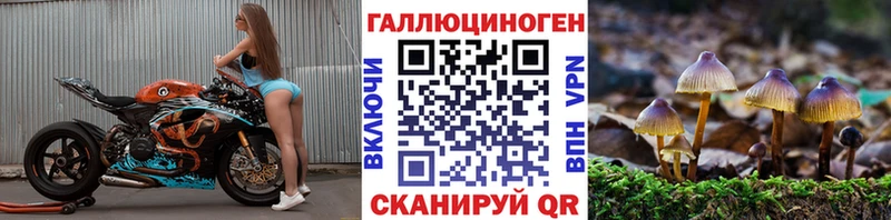 сайты даркнета клад  Минусинск  Псилоцибиновые грибы Psilocybe 